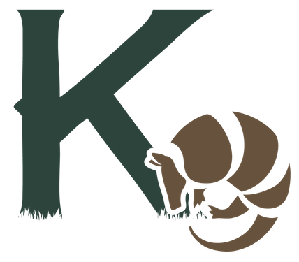File:KCAP2017-small-2-07.png