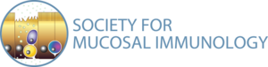 Logo of ICMI 2013