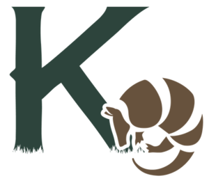 Logo of K-CAP 2017
